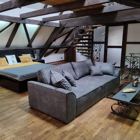 Galerie Vila Lucia 5 -Loft Apartman Plzen Luaran gambar