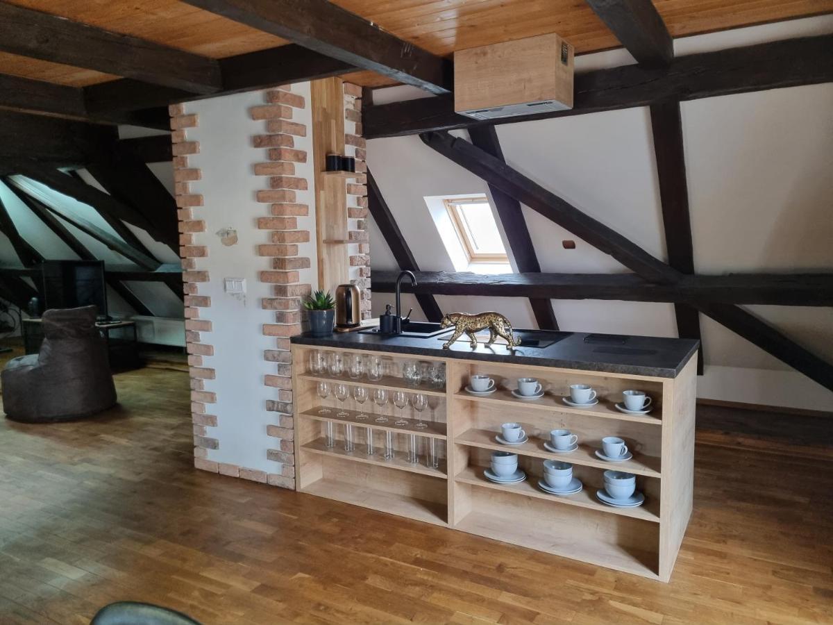 Galerie Vila Lucia 5 -Loft Apartman Plzen Luaran gambar