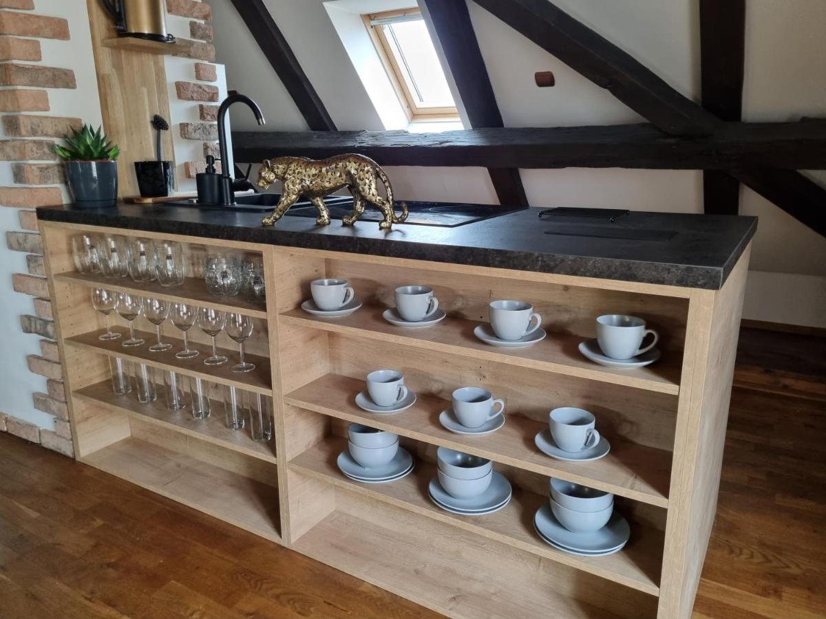 Galerie Vila Lucia 5 -Loft Apartman Plzen Luaran gambar